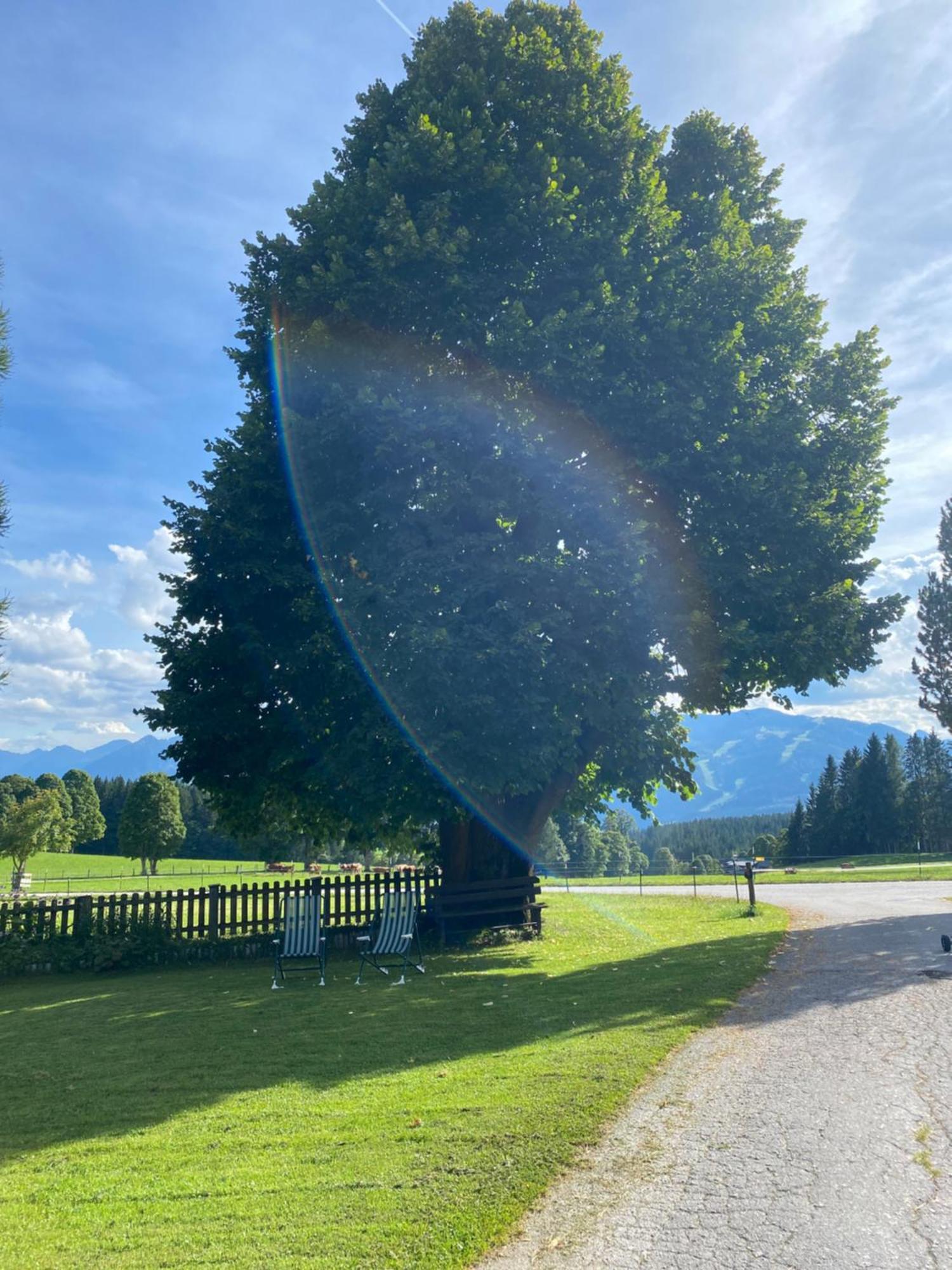 Bauernhof Helpferer Ramsau am Dachstein