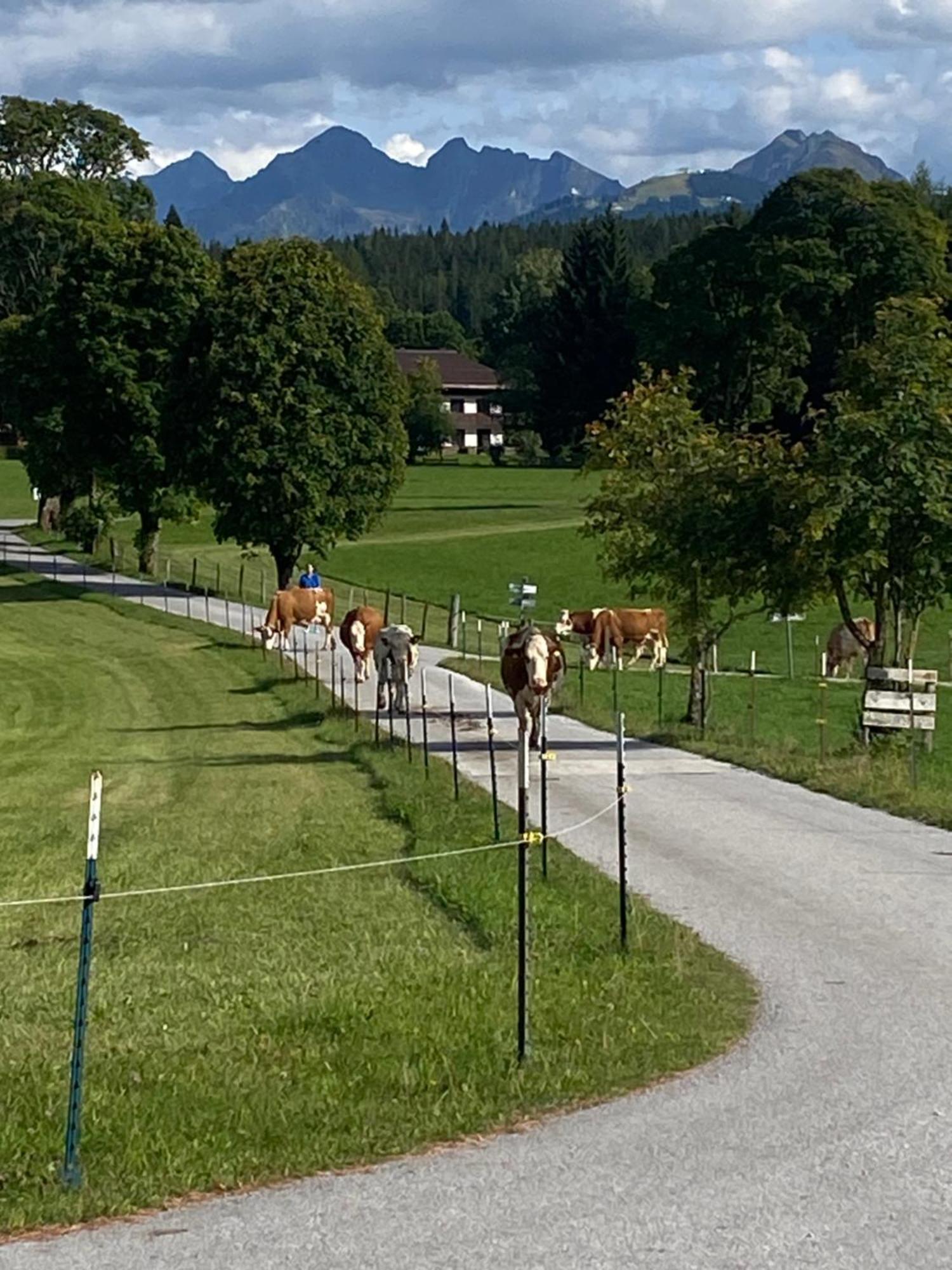 Apartment Bauernhof Helpferer Ramsau am Dachstein